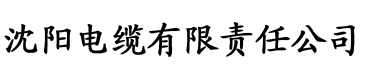 久久久久经典精品香蕉电缆厂logo